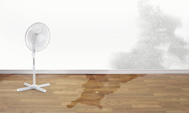 Best 24-hour water damage restoration  in Choccolocco, AL